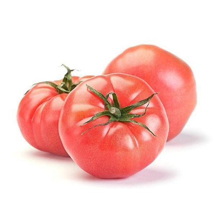 Faworyt - Sadzonka Pomidora - Niezłe Ziółko