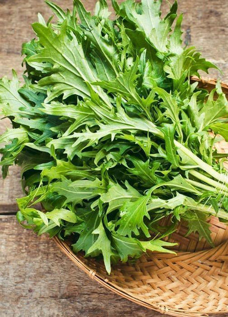 Mizuna - Sadzonka - Niezłe Ziółko