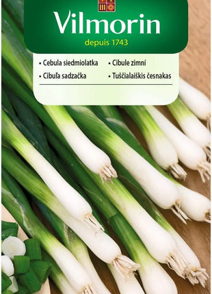 Nasiona – Cebula Siedmiolatka Bajkal 2g - Niezłe Ziółko