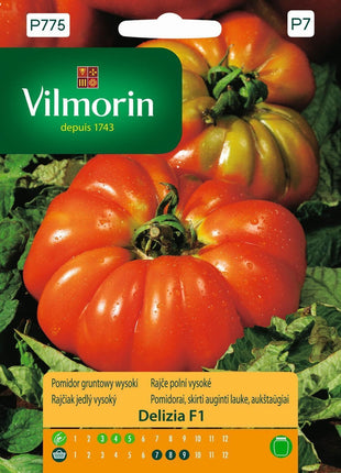 Nasiona Pomidora - Delizia F1 0,1g - Wysoka, bardzo wczesna odmiana premium! - Niezłe Ziółko