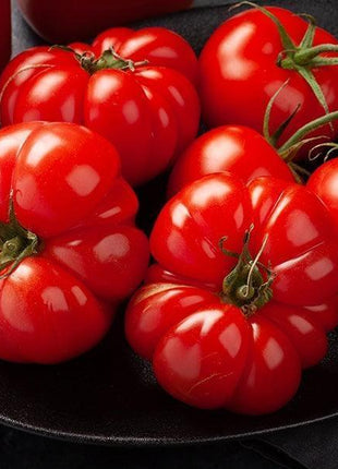 Nasiona Pomidora - Delizia F1 0,1g - Wysoka, bardzo wczesna odmiana premium! - Niezłe Ziółko