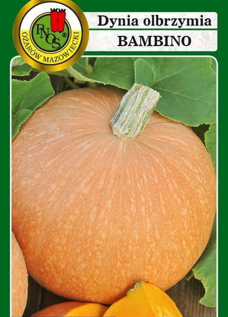 Nasiona - DYNIA OLBRZYMIA BAMBINO 5g - Niezłe Ziółko