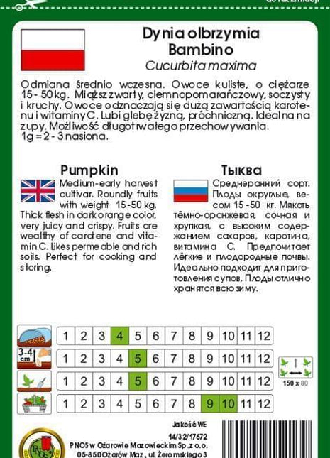 Nasiona - DYNIA OLBRZYMIA BAMBINO 5g - Niezłe Ziółko