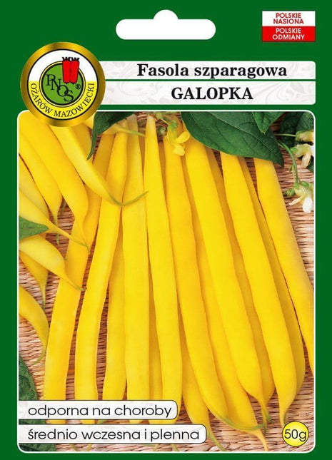 Nasiona - FASOLA SZPARAG.ŻÓŁTA KARŁOWA GALOPKA 50g - Niezłe Ziółko