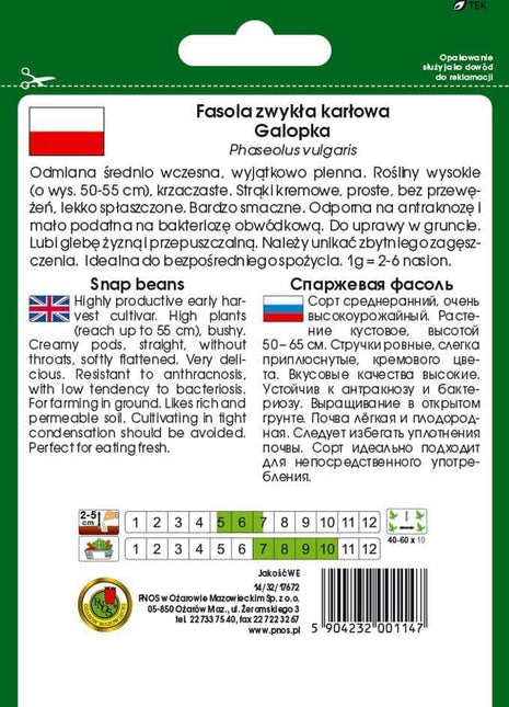 Nasiona - FASOLA SZPARAG.ŻÓŁTA KARŁOWA GALOPKA 50g - Niezłe Ziółko