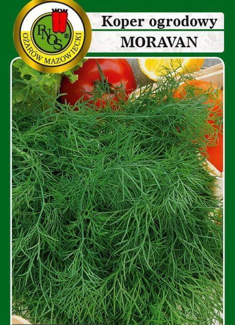 Nasiona - KOPER OGRODOWY MORAVAN 5g - koło 2750 sztuk nasion w opakowaniu - Niezłe Ziółko