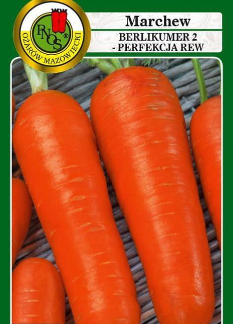 Nasiona - MARCHEW JADALNA BERLIKUMER 2 - PERFEKCJA REW 5g - około 3250 sztuk nasion w opakowaniu - Niezłe Ziółko