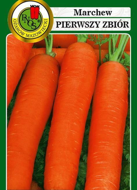 Nasiona - MARCHEW JADALNA PIERWSZY ZBIÓR 5g - około 3250 sztuk nasion w opakowaniu - Niezłe Ziółko