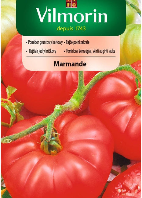 Nasiona - MARMANDE POMIDOR KARŁOWY 1g - Niezłe Ziółko