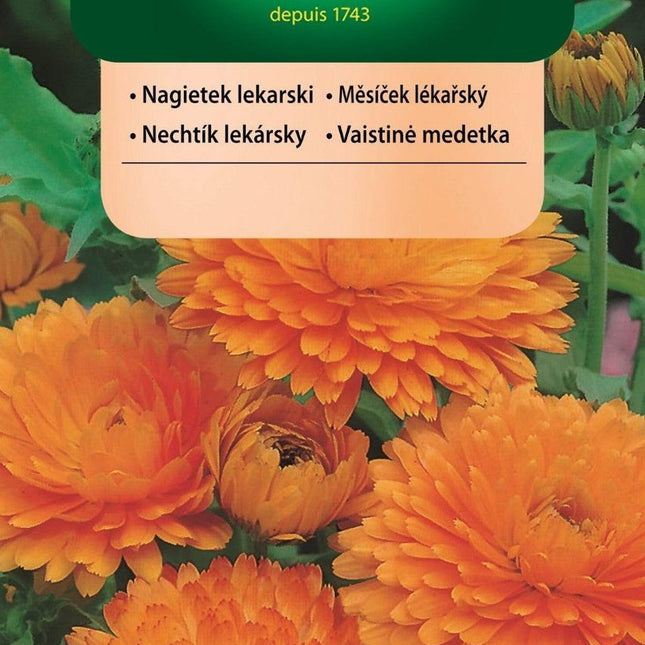 Nasiona - NAGIETEK LEKARSKI 1g - Niezłe Ziółko