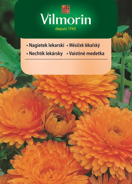 Nasiona - NAGIETEK LEKARSKI 1g - Niezłe Ziółko