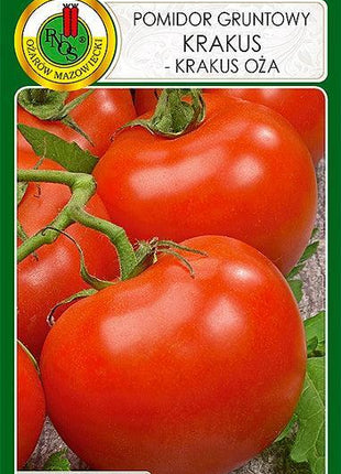 Nasiona Pomidora Gruntowego - Krakus 1g - Niezłe Ziółko