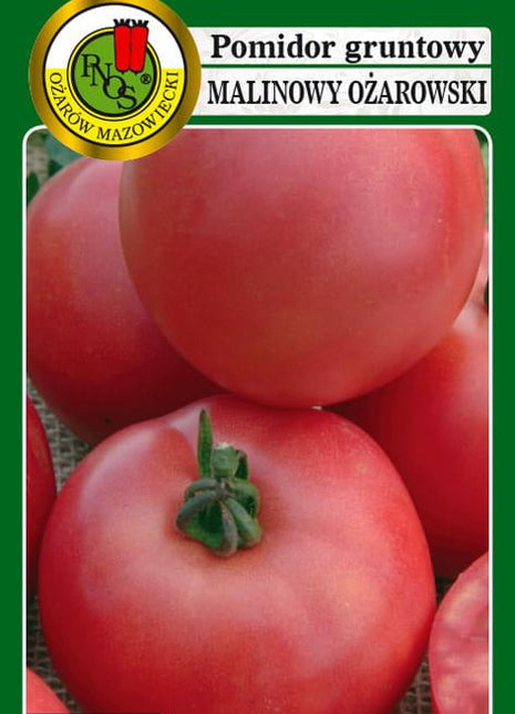 POMIDOR GRUNTOWY MALINOWY OŻAROWSKI 1g - nasiona - Niezłe Ziółko