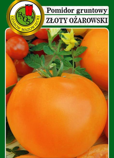 POMIDOR GRUNTOWY ZŁOTY OŻAROWSKI 0,5g - nasiona - Niezłe Ziółko