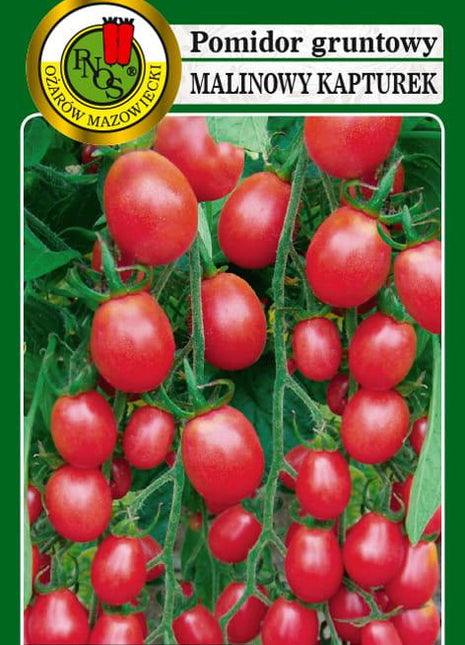 POMIDOR MALINOWY KAPTUREK  1g - nasiona - Niezłe Ziółko