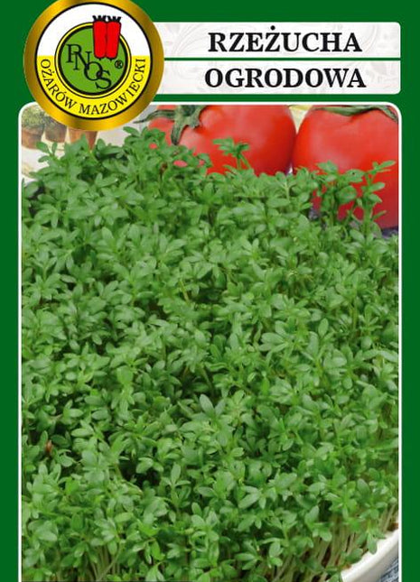Nasiona - RZEŻUCHA OGRODOWA 15g - Niezłe Ziółko