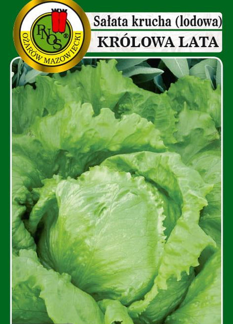 SAŁATA GŁOWIASTA KRUCHA KRÓLOWA LATA 1g - koło 1200 sztuk nasion w opakowaniu - Niezłe Ziółko