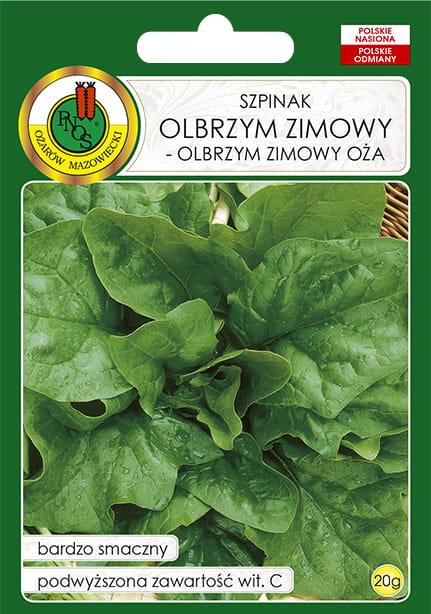 SZPINAK OLBRZYM ZIMOWY-OLBRZYM ZIMOWY OŻA 20g - koło 2000 sztuk nasion w opakowaniu - Niezłe Ziółko