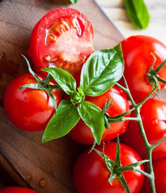 Pomidor Koralik Czerwony - Sadzonka - Niezłe Ziółko