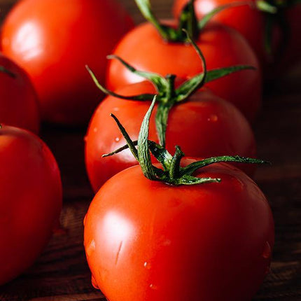 Pomidor Krakus - Sadzonka - Niezłe Ziółko