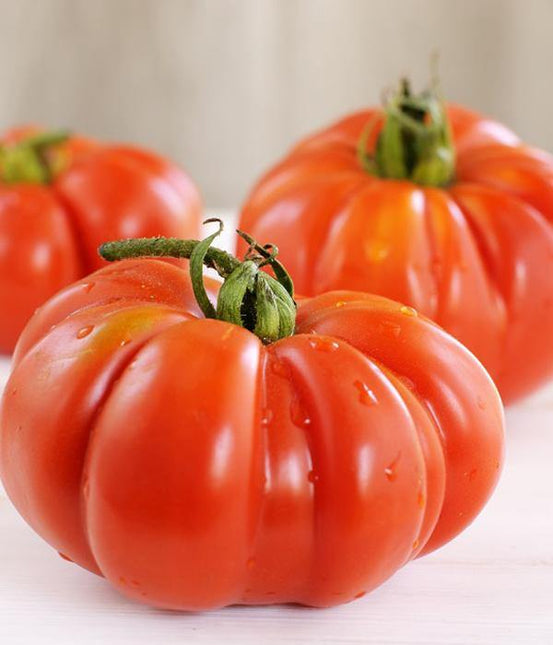 Pomidor Malinowy Olbrzym - Sadzonka - Niezłe Ziółko