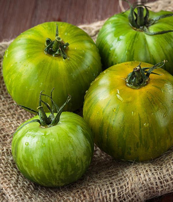 Pomidor Zielona Zebra - Sadzonka - Niezłe Ziółko
