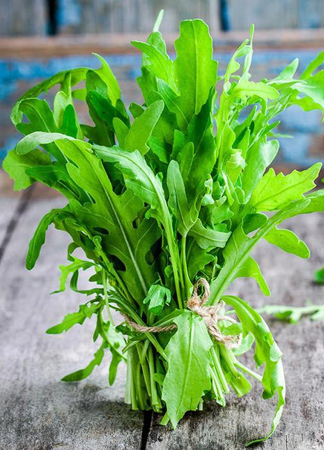 Rukola - Sadzonka - Niezłe Ziółko