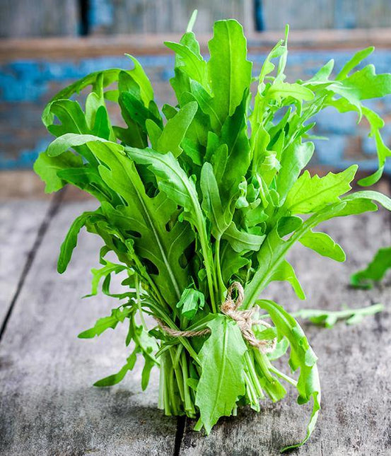 Rukola - Sadzonka - Niezłe Ziółko